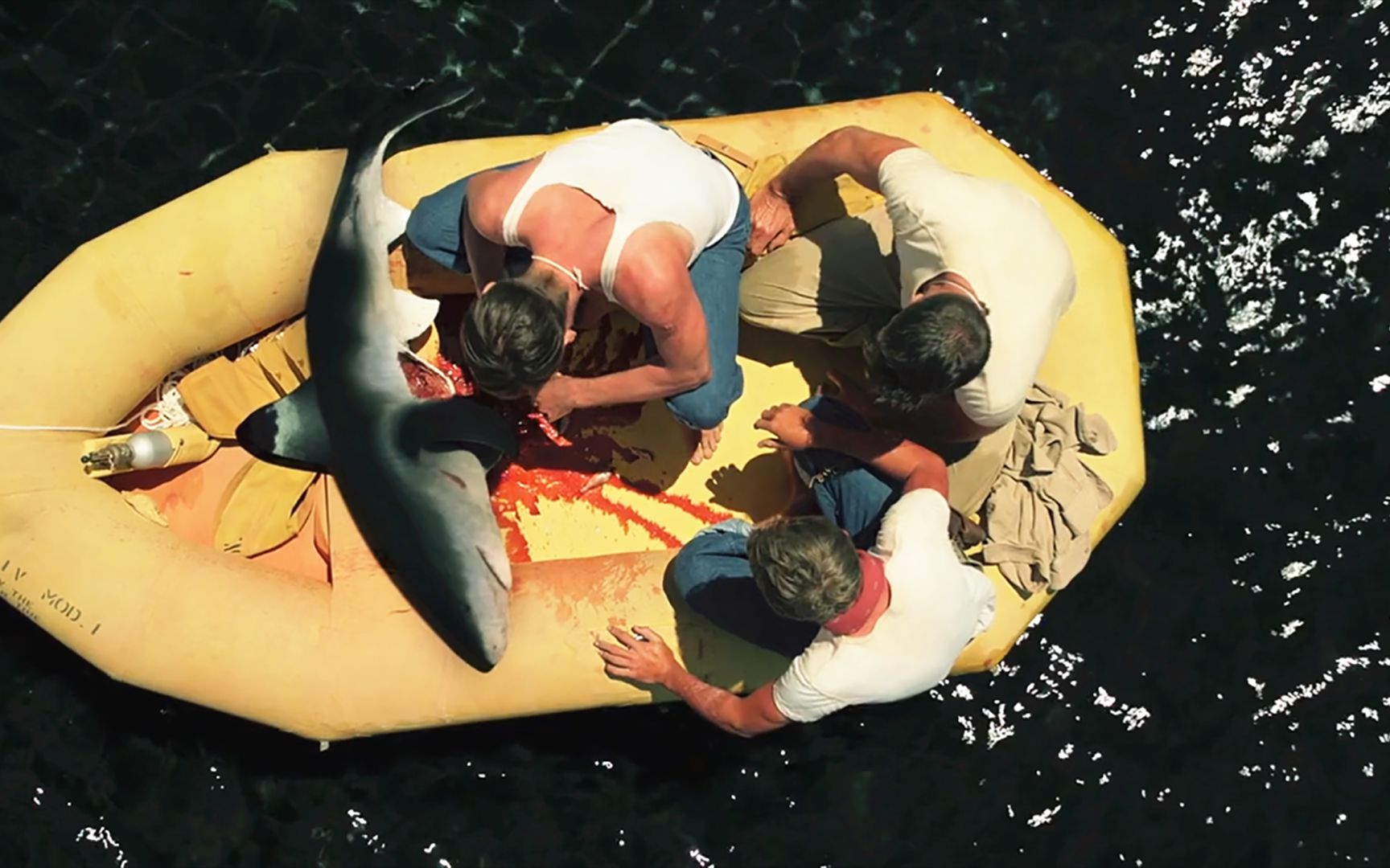 3男子被困大海，因太饿竟直接“生吃鲨鱼”，结果惹来大麻烦！